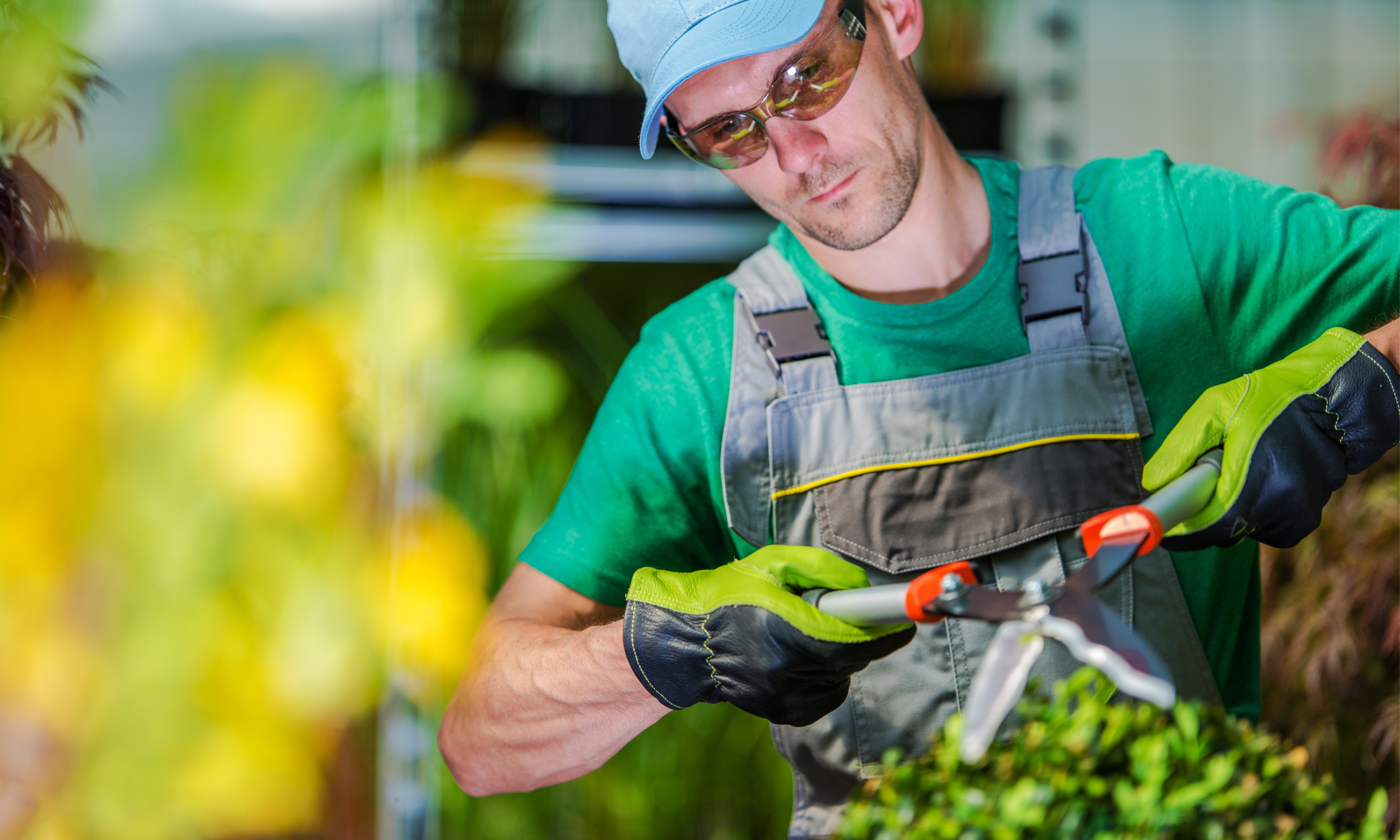 inversiones lya Perú (14)