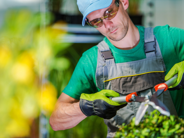 inversiones lya Perú (14)